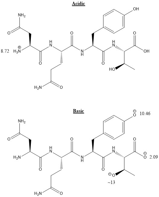 Acidic OH NH OH 8.72 H3lN HO H2N Basic o 10.46 NH2 O 2.09 H2N eo H2N