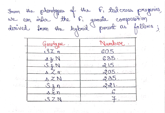 From the we can derived phenotypes of the enfer the fi from the hybrid fi test cross progenies, gamete composition parent as