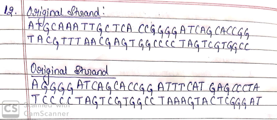 AtGCAAATT Ogtiginal hand 444ATCAS CS damscanner