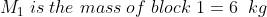M_{1}\;is \; the\; mass\; of \; block \;1=6\;\;kg