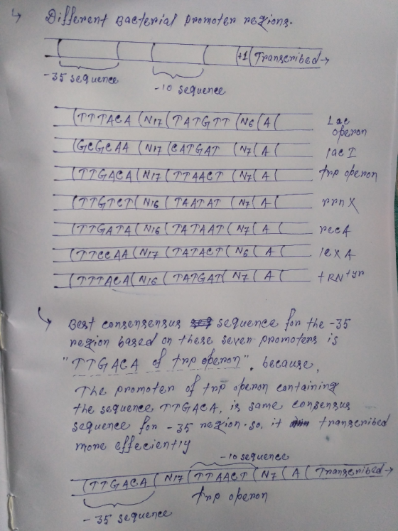 4 Different Bacterial promoter regions. +1 Transcribed -35 sequence - 10 sequence TOTACA (N17 (TATGTT (NG (AC Lae oferon Ge G