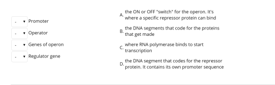 the ON or OFF switch for the operon. Its А. where a specific repressor protein can bind Promoter the DNA segments that cod