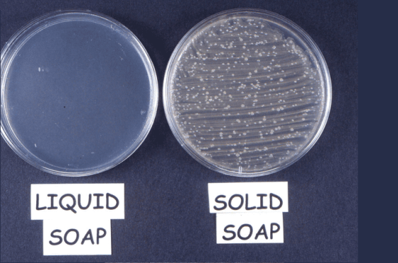 LIQUID SOAP SOLID SOAP