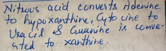 Nitrous acid converts Adenine to hypoxanthine, Cyto cine to Veacil & Cuanine is conver sted to xanthine.