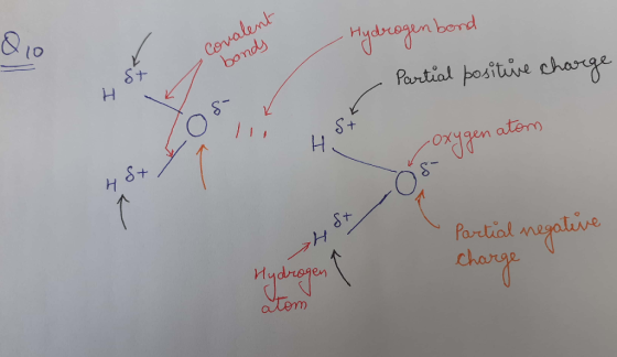 Rio - Hydrogen bond مج - Covalent s bonds - Partial positive charge oxygenatom ta Partial negative charge Hydrogen \ atom