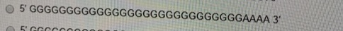 5 GGGGGGGGGGGGGGGGGGGGGGGGGGGGAAAA 3