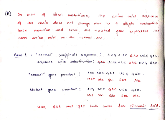 (A) In case of silent mutations, the amino aud sequence op the chain does not change due to single nucleotide base mutation a