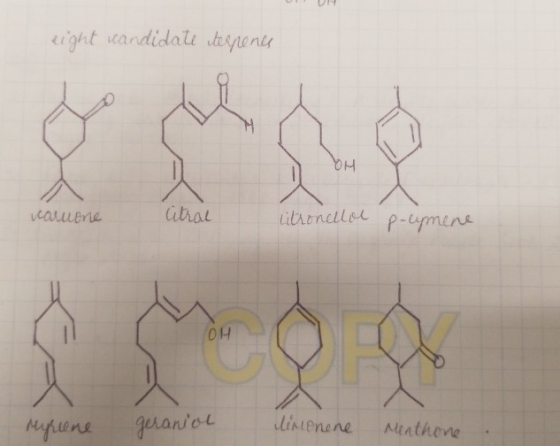 U right scandidate terpenes narrone Citral litronellol p-upmene Myreene geraniol linenene Menthone