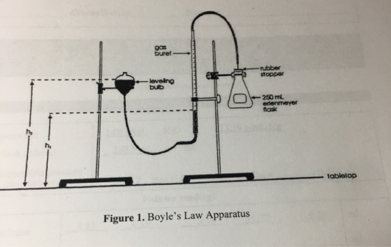 pas buret rubber stopper loveing bub O 250 ml enmeyer - tabletop Figure 1. Boyles Law Apparatus