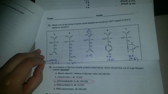 8 dno6-u SIH l2 NetID: Name: 13. Which one of the forms of amino acids labeled a-e would you NOT expect to find in aqueous so