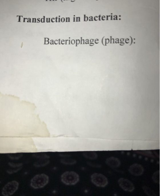 Transduction in bacteria: Bacteriophage (phage):