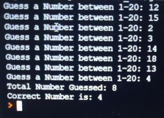 Guess a Number between 1-20: 12 Guess a Number between 1-20: 15 Guess a Nuriber between 1-20: 2 Guess a Number between 1-20:
