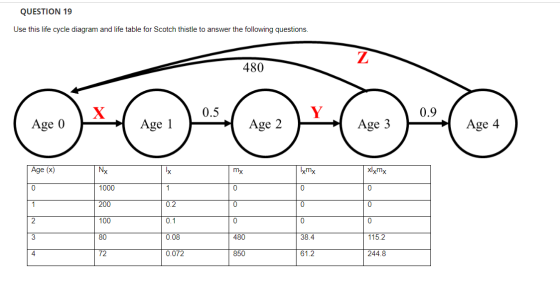QUESTION 19 Use this life cycle diagram and life table for Scotch thistle to answer the following questions. z 480 X 0.5 Y 0.