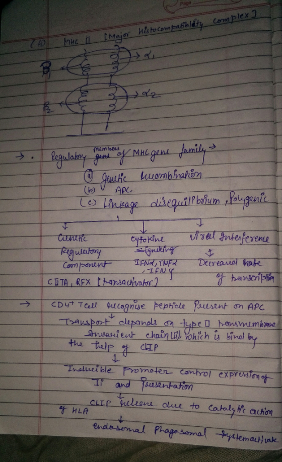 complex 2 Меје histocompatiblity 19 tuloy mouth INT >92 Regulatory generaf MAC gene family s ☺ genetic becombinatiên lo Linka