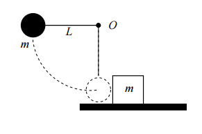 A steel ball of mass m = 1 kg and a cord of neglig