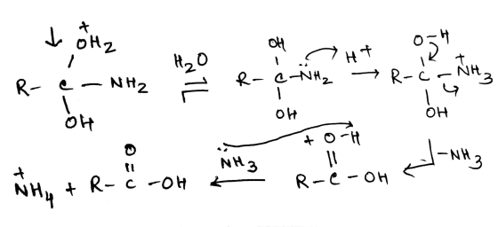 t Ohz OH H₂O HT 074 R-C-NH₂ R- NH2 Ree -NH₂ 4 OH OH OH + oH -NH3 10 NH3 7 & R-c -OH 2 R-c-oh NHA