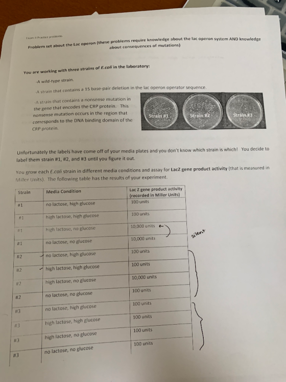 knowledge about the lac operon system AND knowledge Problem set about the Lac operon (these problems require knowledge about