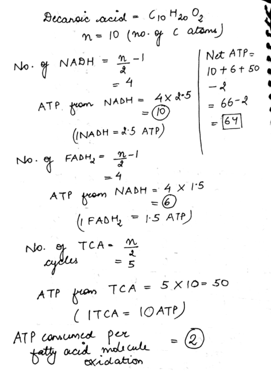 = 4 = 1647 Decandic acid - cio H20 n = 10 (no. of c atama) No. of NADH = n | I Net ATP = 0 10+ 6+ 50 -& ATP from NADH = 4x4.5