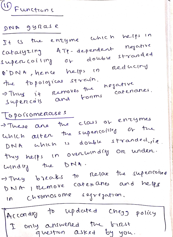 (1① functions DNA gyrase It is the enzyme which helps in catalyzing ATP-dependent negative supercoiring or double stranded &