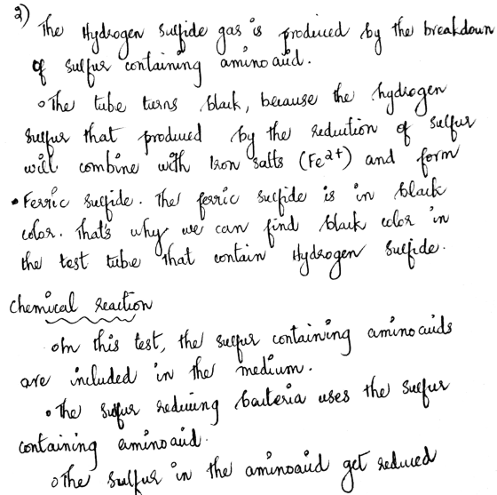 The by amuno and. because that produced by we can find black color in Hydrogen sulfide gas is produced the breakdown of sulfu