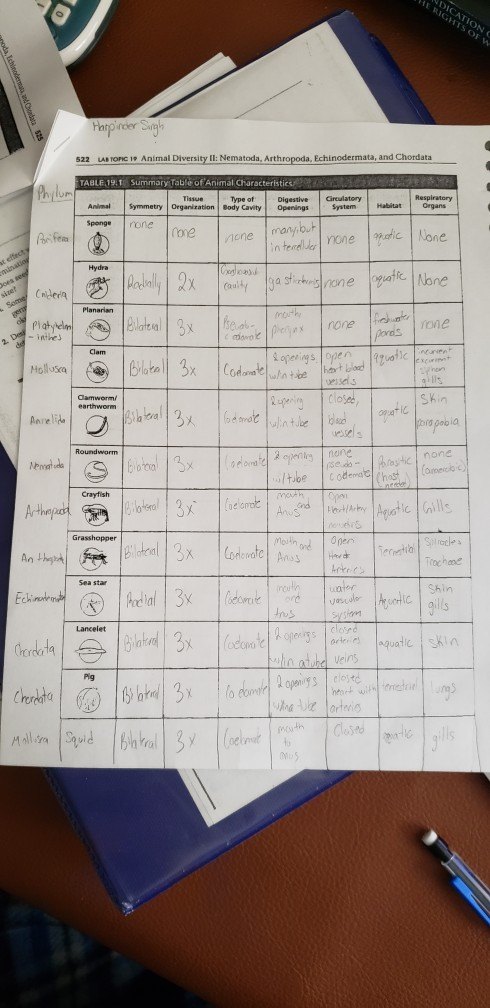 NDICATION HE RIGHTS OF W aroda, che sta $25 Harpinder Singh 522 LAB TOPG 19 Animal Diversity II: Nematoda, Arthropoda, Echino