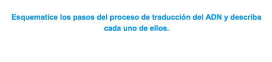 Esquematice los pasos del proceso de traduccion del ADN y describa cada uno de ellos.