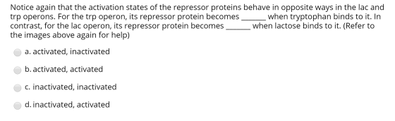 Notice again that the activation states of the repressor proteins behave in opposite ways in the lac and trp operons. For the