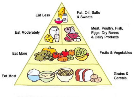 Eat Less Fat, Oil, Salts & Sweets Eat Moderately Meat, Poultry, Fish, Eggs, Dry Beans & Dairy Products Eat More Fruits & Vege