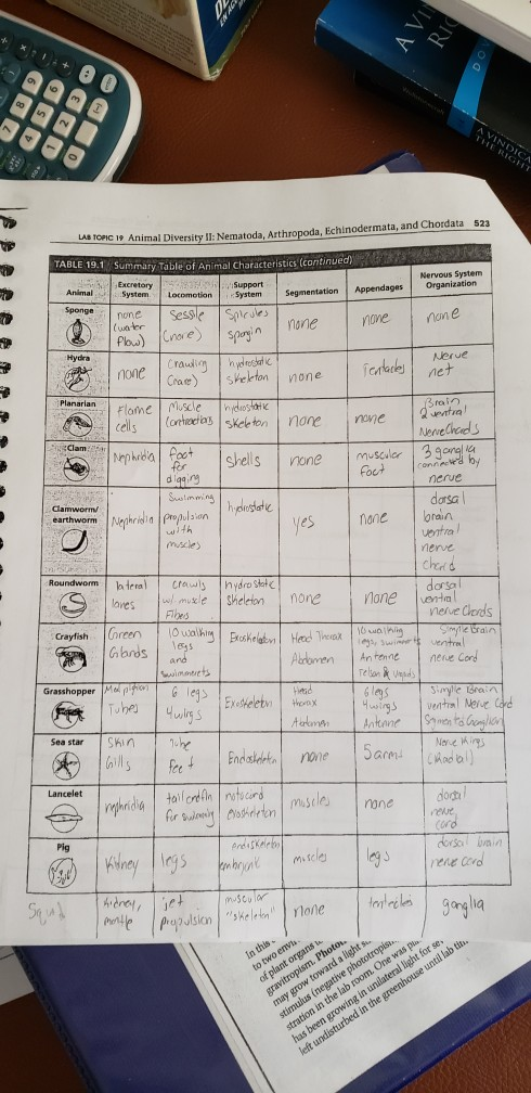 AVI RIO * + SD NU TORC 19 Animal DiversityNematoda. Arthropoda. Echinodermata, and Chordata 523 TABLE 19.1 Summary Table of A