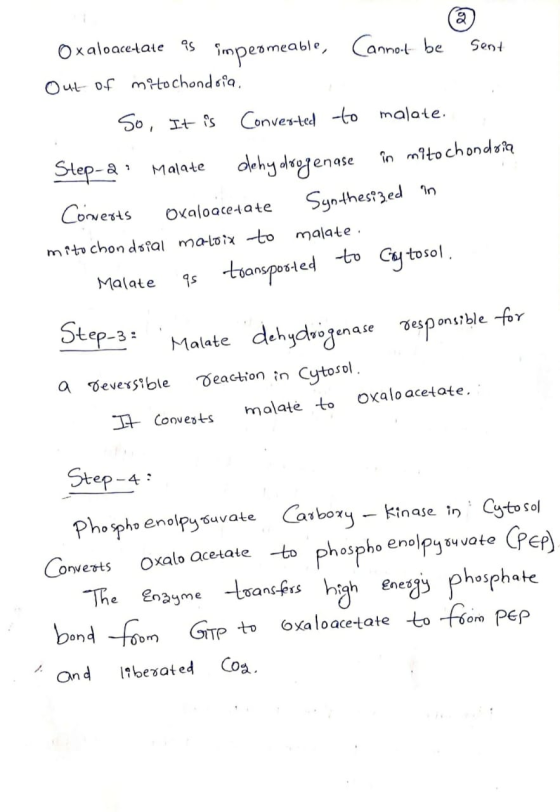 Oxaloace-taie Tmpeameable, Canet be Sent Out of mtochondsfa So, Its Conver-ted to malate. Step-a inmito chondsi dehy deggenas