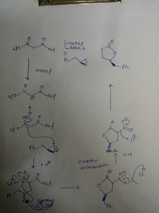 Naout ao -oal y Ph- Naocal EB 10 é out dor Fe PAPL Ph Hel + He Krapcho decarboxylation out