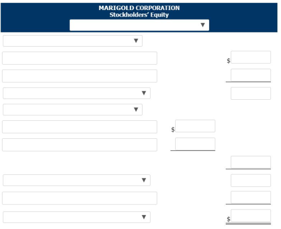 MARIGOLD CORPORATION Stockholders Equity