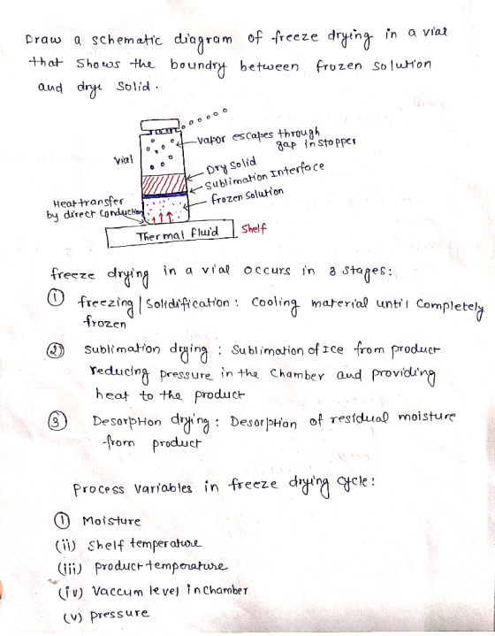 Draw a schematic diagram of freeze drying in a vial that shows the boundry between frozen solution and drye Solid -Valor esca