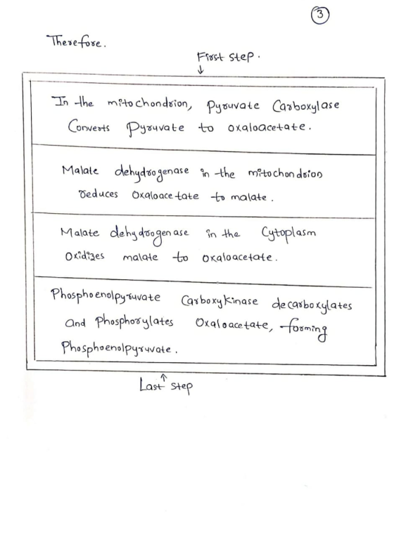 Therefose Frrst Step Th he mto chondsion, Pyuvate Casboxylase Corwerts Puvate to Oxaloacetate Malate dehydso genase n -the mt