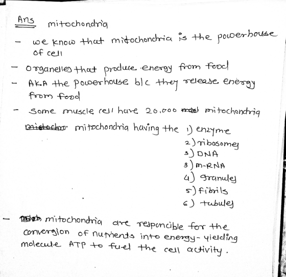 powerhouse Ang mitochondria - we know that mitochondria is the of cell organelles that produce energy from food AKA the power