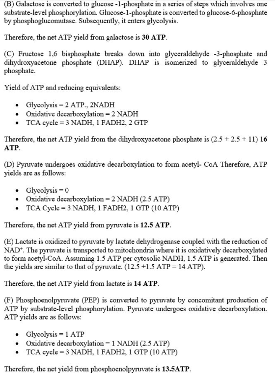 (B) Galactose is converted to glucose-1-phosphate in a series of steps which involves one substrate-level phosphorylation. Gl