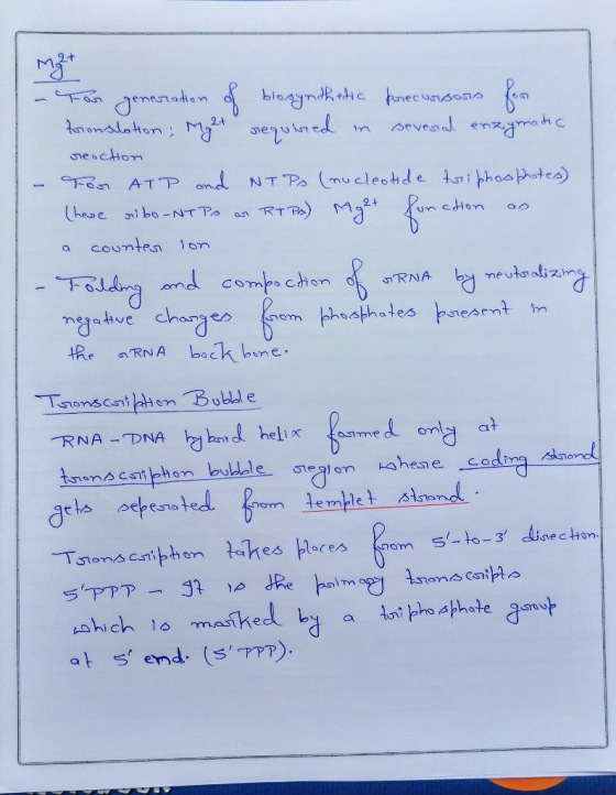 MZ ction ao - For generation of blosynthetic precursors for toronslation, Mg2+ required in several enzymatic reaction For ATP
