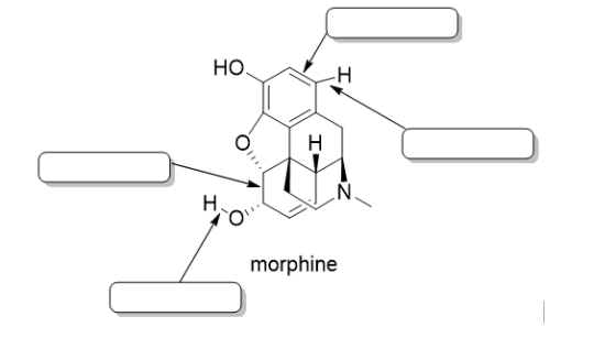 morphine