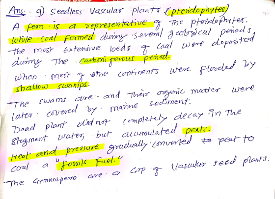 were Ans. - g) Seedless Vascular plants. (preridophytes) A feon is a representative g, The, pteridophiles, while coal formed