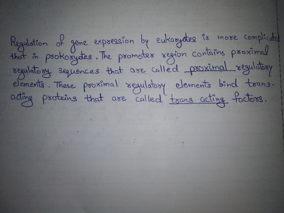 Regulation of gene expression by eukaryotes is more complicated that in prokaryotes. The promoter region contains proximal re