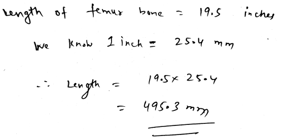 tength of femur bone = 19.5 inches - We know 1 inch = 2504 mm Length 19.5*2504 49503 mm
