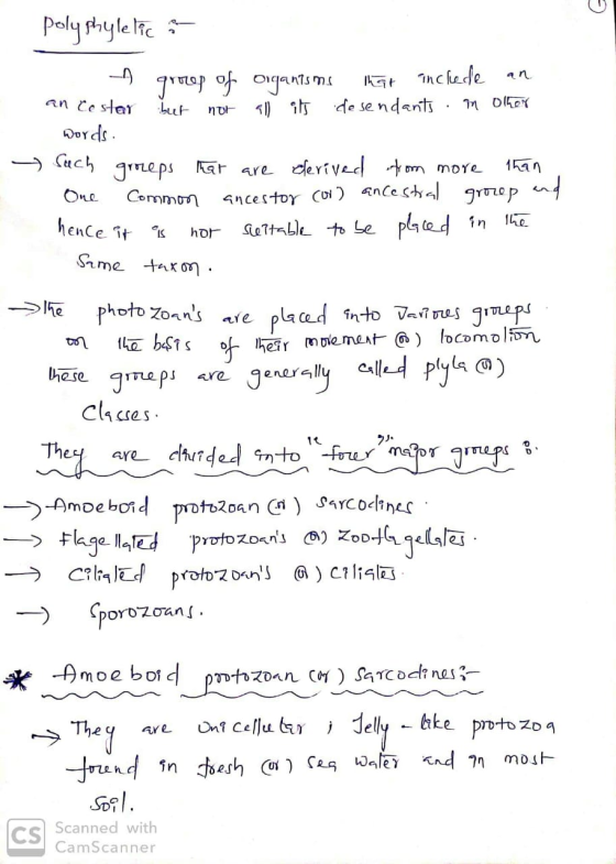polyphyletica A group of organisms that include an an costar but not all its desendants in other words. Such groeps that are