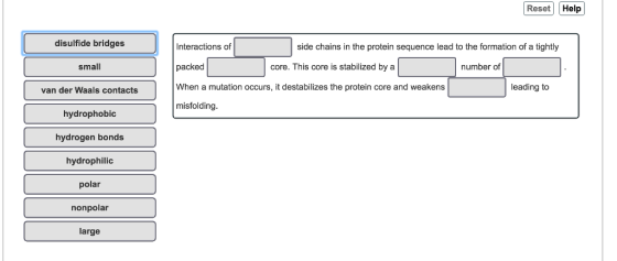 Reset Help disulfide bridges small van der Waals contacts side chains in the protein sequence lead to the formation of a tightly Interactions of packed When a mutation occurs, it destabilizes the protein core and weakens misfolding core. This core is stabilized by a number of leading to hydrophobic hydrogen bonds hydrophilic polar nonpolar large