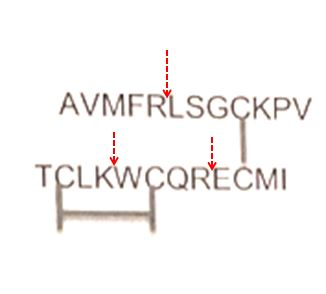 AVMFRLSGCKPV TCLKWCQRECMI