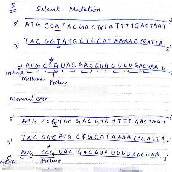 3 Silent Mutation ATG CCA TAC GACGIALLIGACTAAT TAC GGIATG CTG CATAAAACIGATLA. UUL mewn ANG CCAVALGACGUN OU OU SACURA U KNA Me