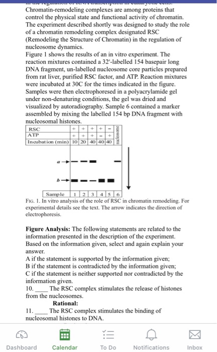 wwwLTRID POWER Chromatin-remodeling complexes are among proteins that control the physical state and functional activity of c