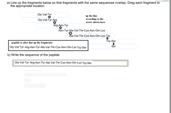 a) Line up the fragments below so that fragments with the same sequences overlap. Drag each fragment to the appropriate locat