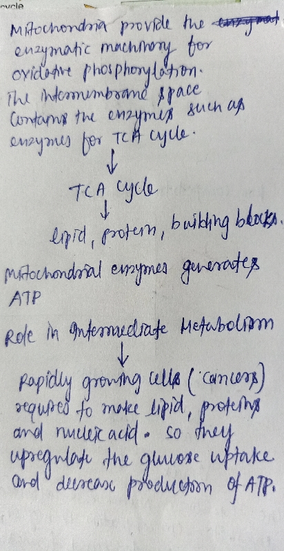 ucle Mitochondna proviede the tmt enzymatic machinory for ovido he phosphonyloon The nteomumbame ppace Contams the enzymis su