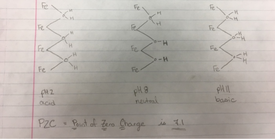 So-H PH2 pH 8 PHIL basic acid neutral P2C = Point of Zeno Charge is 7.1