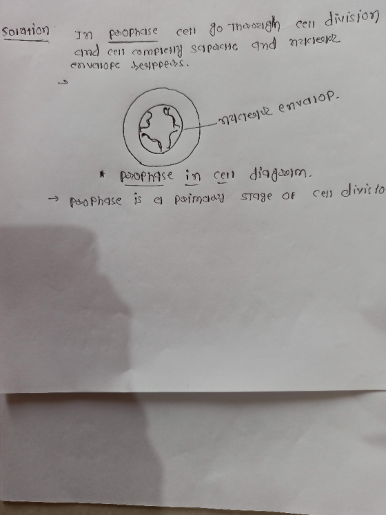 121 In prophase cerr go Thaoigh cen division cmd cen compierny sypocine and make seeper envenop seappers. - machegur envelop.